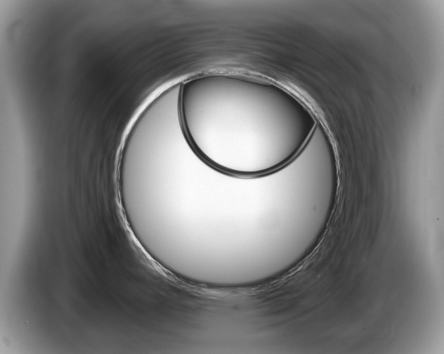 X0000087611392200704271053