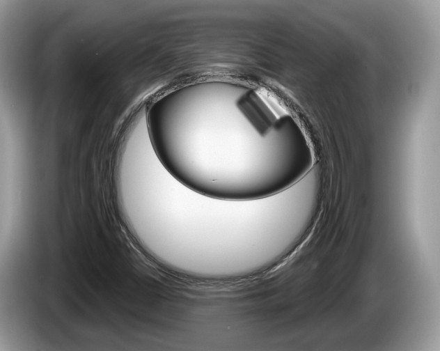 X0000087611402200704271052