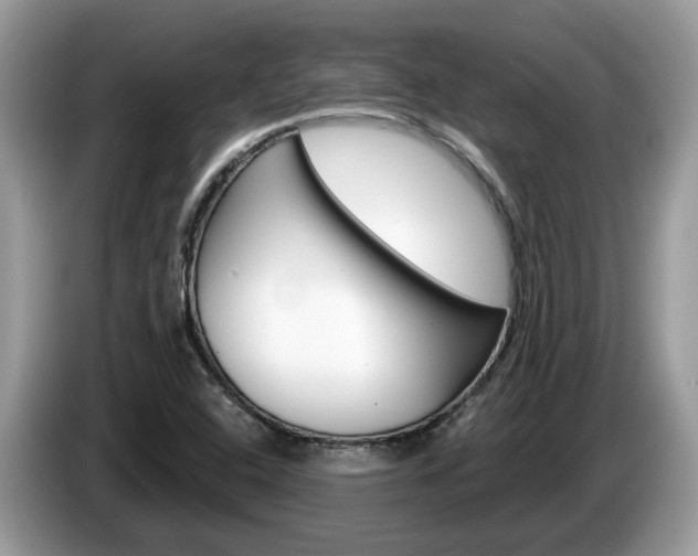 X0000087611408200704271053