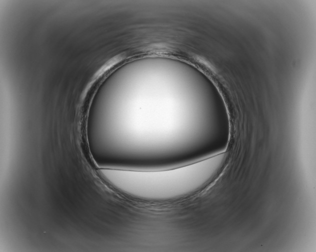 X0000087611410200704271053