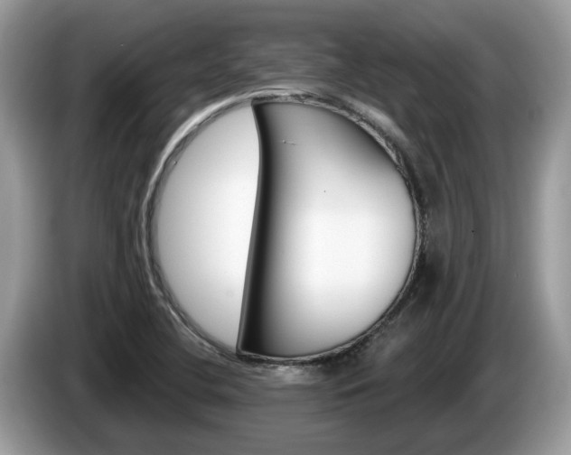 X0000087611412200704271053