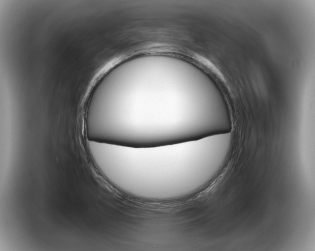X0000087611413200704271053