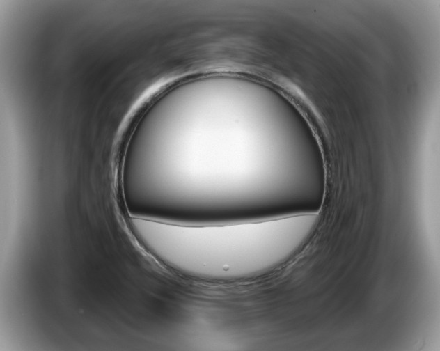 X0000087611416200704271053