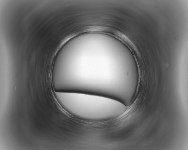 X0000087611417200704271053
