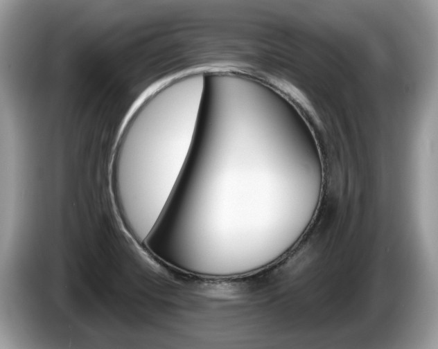 X0000087611420200704271053