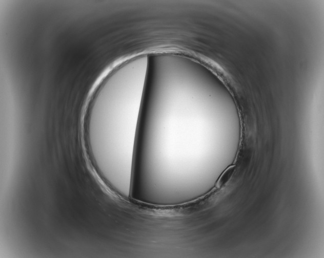 X0000087611422200704271053
