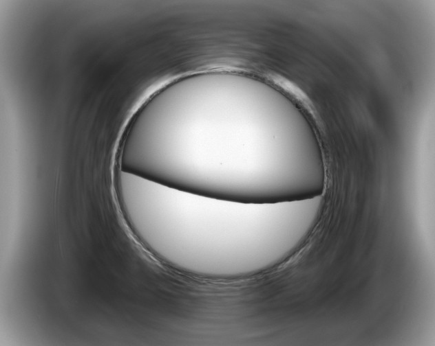 X0000087611423200704271053