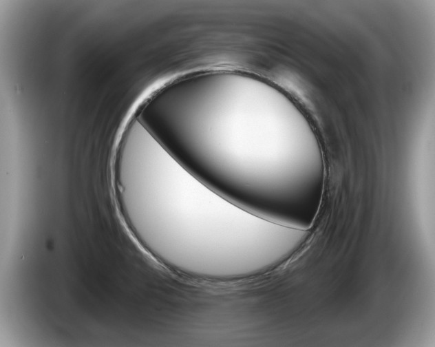 X0000087611424200704271053
