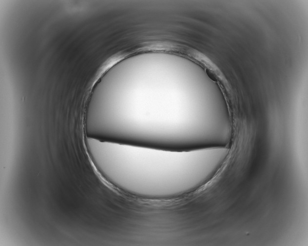 X0000087611425200704271053