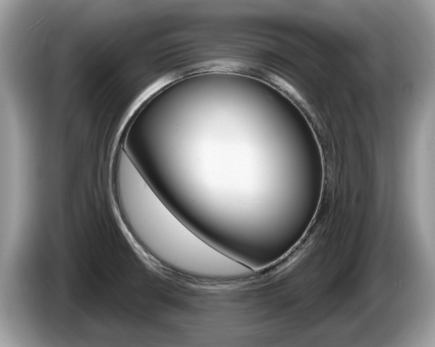 X0000087611426200704271053