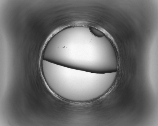 X0000087611429200704271053