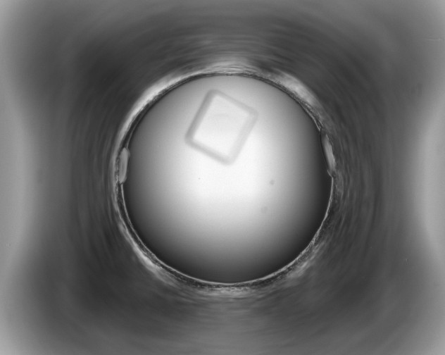 X0000087611430200704271053