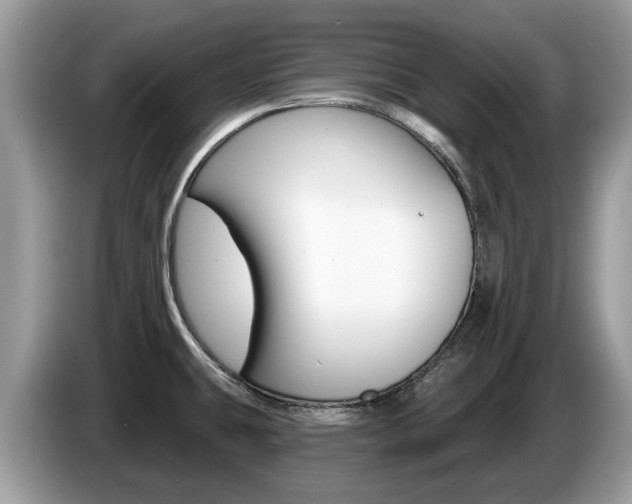 X0000087611431200704271053