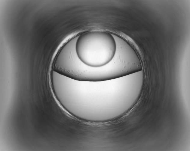 X0000087611432200704271053