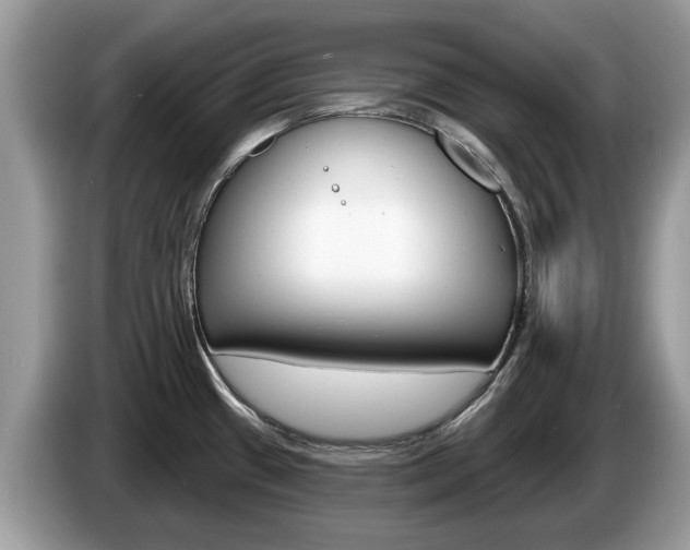 X0000087611433200704271053