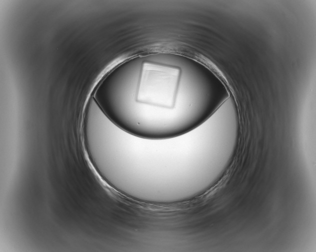 X0000087611434200704271053