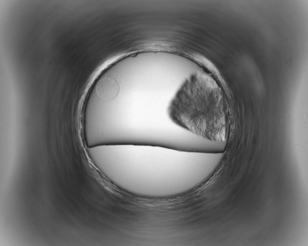 X0000087611435200704271053