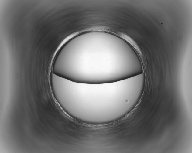 X0000087611436200704271053