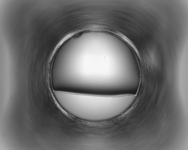 X0000087611437200704271053