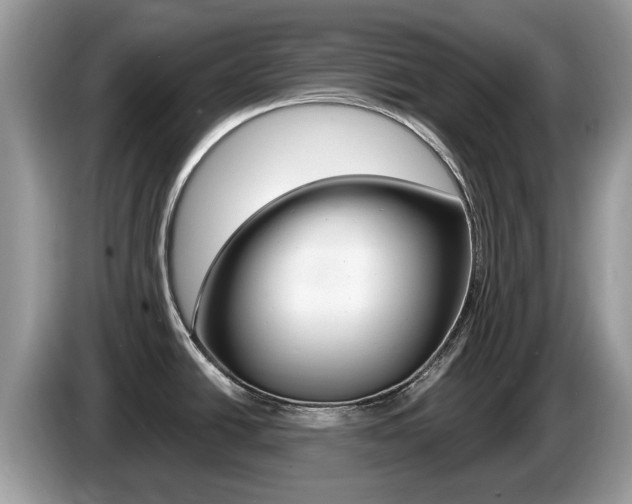 X0000087611438200704271053
