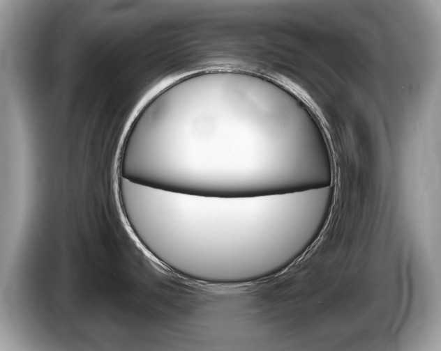 X0000087611440200704271053