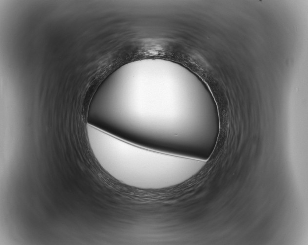 X0000087611442200704271052