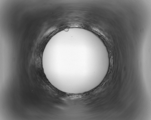 X0000087611446200704271052