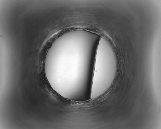 X0000087611448200704271052