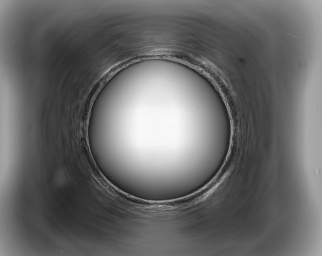 X0000087611449200704271052