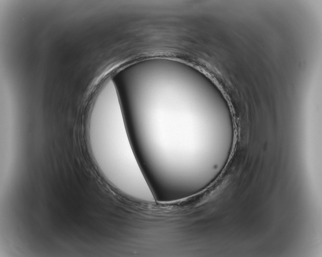 X0000087611453200704271052