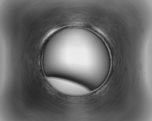 X0000087611455200704271052