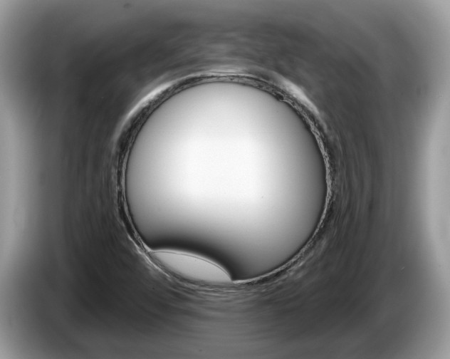 X0000087611456200704271052