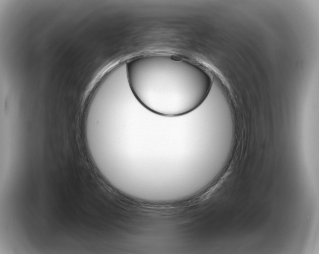 X0000087611461200704271052