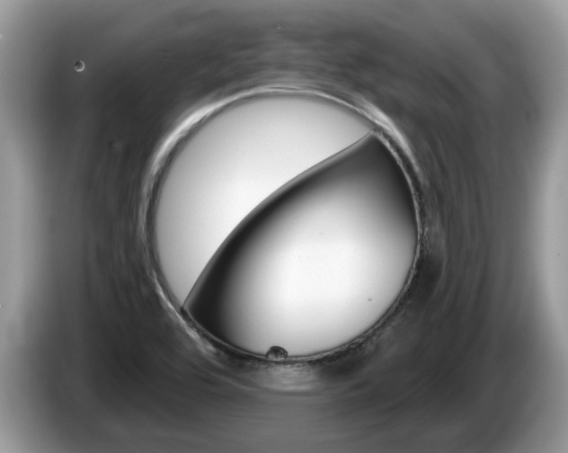 X0000087611464200704271052