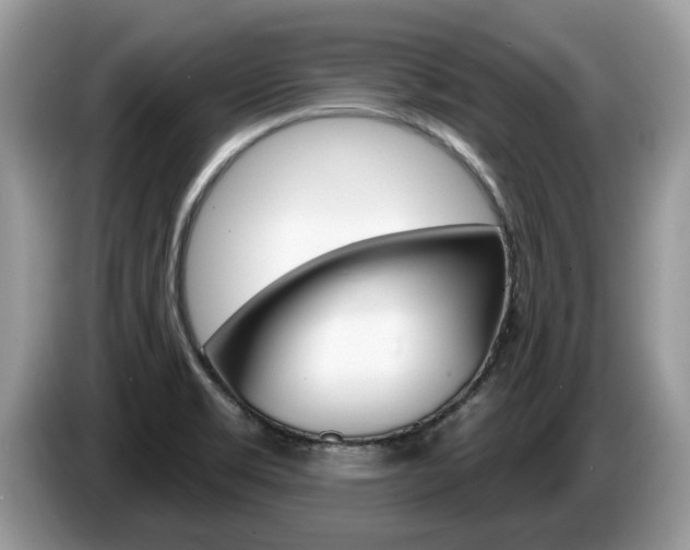 X0000087611469200704271052