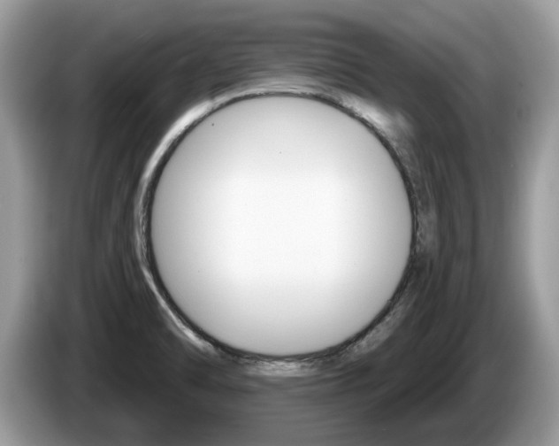 X0000087611470200704271052