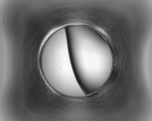 X0000087611472200704271052