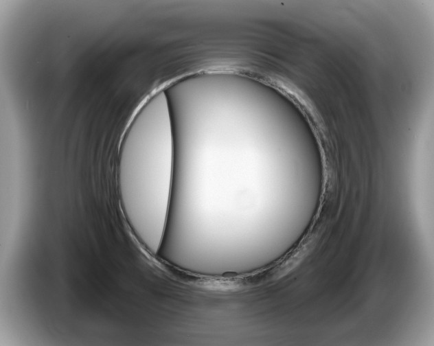 X0000087611473200704271052