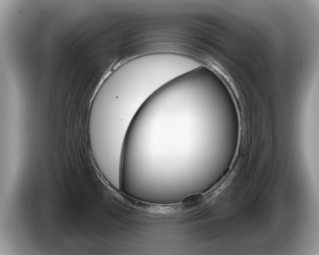 X0000087611481200704271052