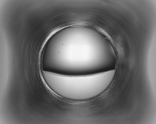 X0000087611483200704271052