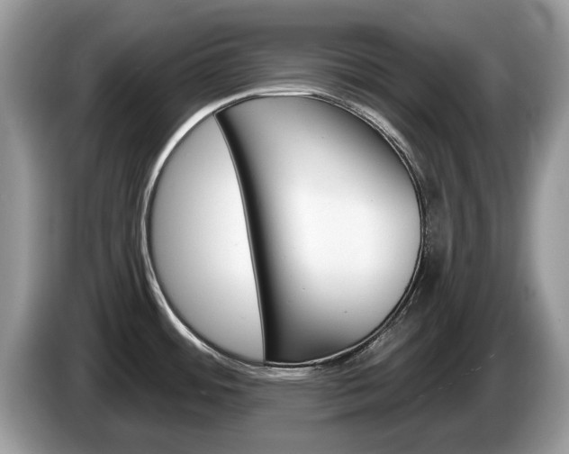 X0000087611484200704271052