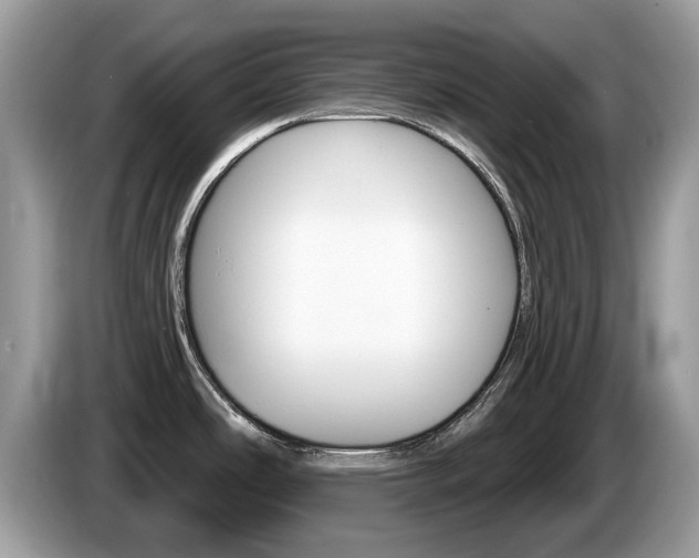 X0000087611486200704271052