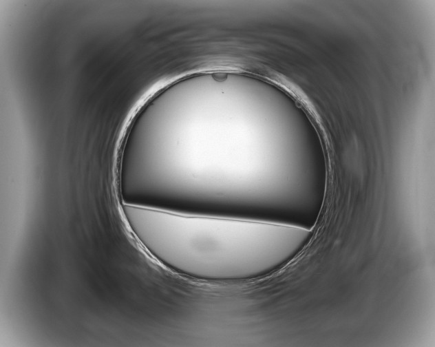 X0000087611488200704271052