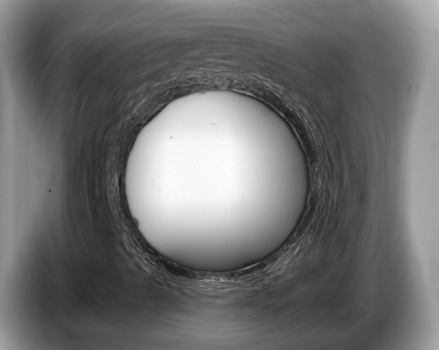 X0000087611489200704271051