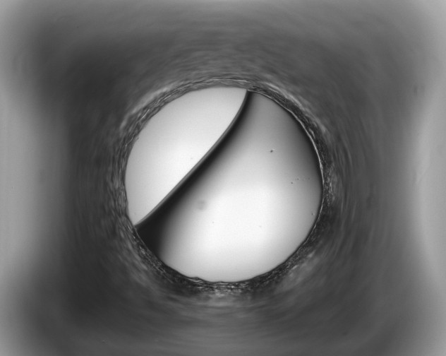 X0000087611494200704271051