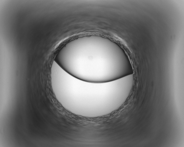 X0000087611496200704271051