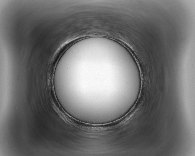 X0000087611499200704271051
