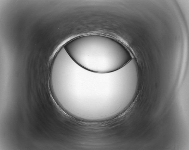 X0000087611500200704271051