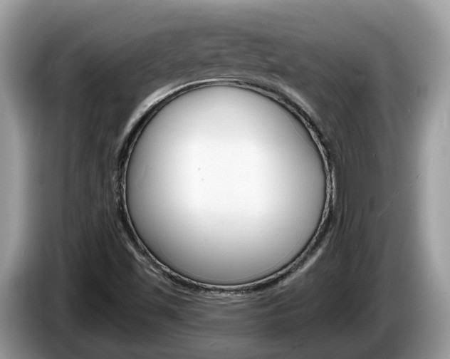 X0000087611501200704271051
