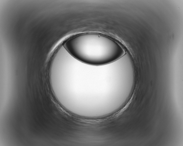 X0000087611502200704271051